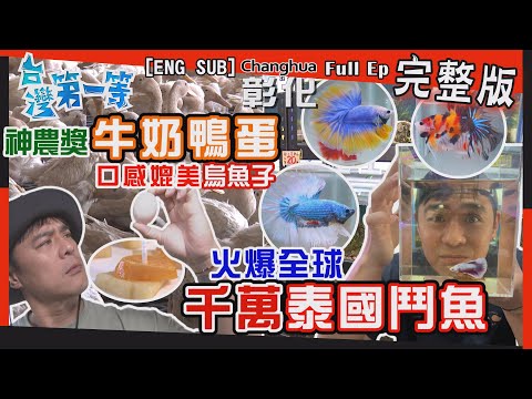 [全新] Betta【神農獎"牛奶鴨蛋"口感媲美烏魚子！"湯頭+蛋黃"蹦出神滋味 正宗"麻辣黑鴨"超涮嘴 / 吃孑孓"千萬泰國鬥魚"混養不打架反更吸睛！】 │2022.05.01│《台灣第一等》完整版