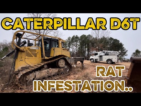 Cat D6T rodent problems…
