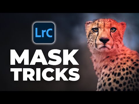 7 Lightroom Masking Tricks Wildlife Pros Use