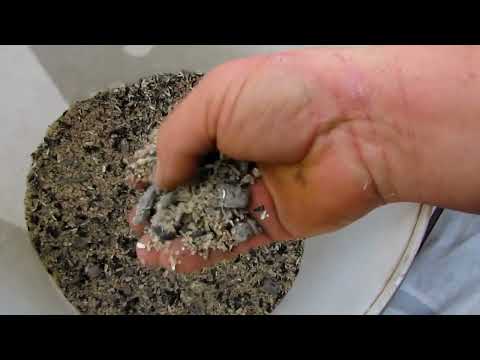 підготовка соняшникового насіння до пресування ОЛІЇ