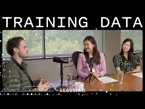 Reflection AI’s Misha Laskin on the AlphaGo Moment for LLMs | Training Data