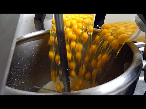giant egg rolls, 300-egg waffles, egg bread! famous video collection