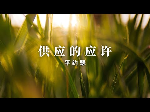 供应的应许 | 平约瑟 | Provision Promises (Read In Chinese/Mandarin)