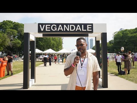 Chicago Vegandale 2023 - Not That Late Show