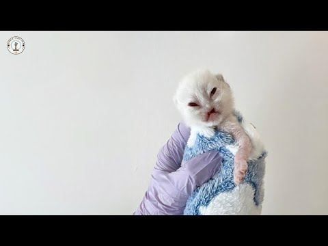 Shunned since birth, He BROKE DOWN in tears during his FIRST HUG