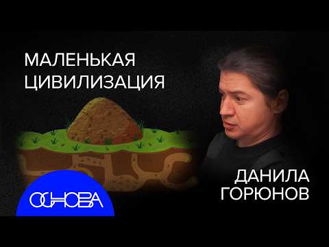 МУРАВЬИ vs ЛЮДИ: КОЛЛЕКТИВНЫЙ МОЗГ и ПОЧЕМУ ИХ ОБЩЕСТВО КРУЧЕ НАС?