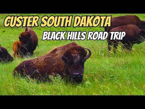 Epic Black Hills Drive: (Custer to Crazy Horse) South Dakota