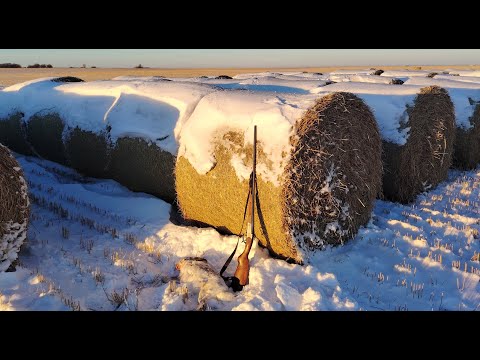 Охота на зайца 32 калибр в деле