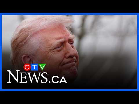 Trump insulting NATO will cause ‘even bigger rift’ between U.S. and European allies: military expert