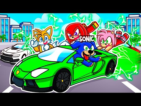 I Became A DOG Then spent $9,566,435 on NEW LAMBORGHINI In Driving Empire!