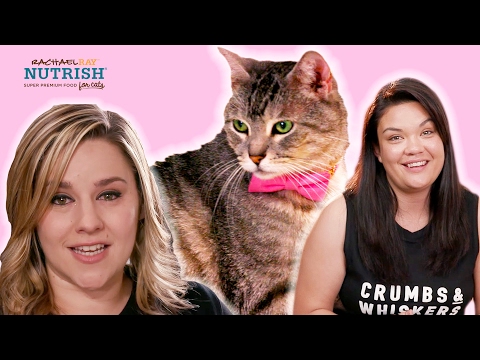 People Who Hate Cats Work In A Cat Cafe // Presented By BuzzFeed & Rachael Ray Nutrish