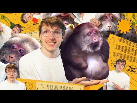 i designed a poster for this monkey and i am just oh so happy with it :)