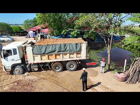 On the lookout Start New Landfill! Dozer Pushing Soil into Water & Truck 25.5Ton Dumping Soil