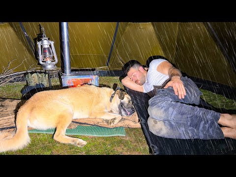 Caught in Thunderstorm With My Dog! - Hot Tent Camping in Heavy Rain All Day!