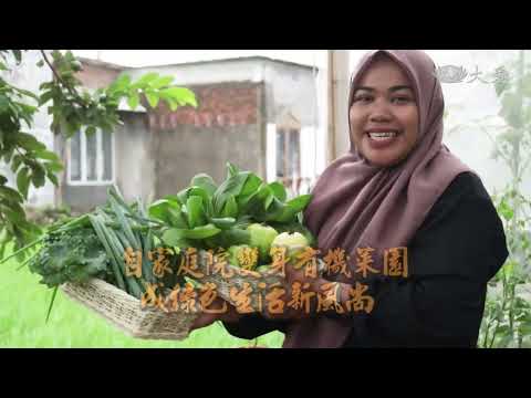 【生活地球村】 自家庭院變身有機菜園 20251109