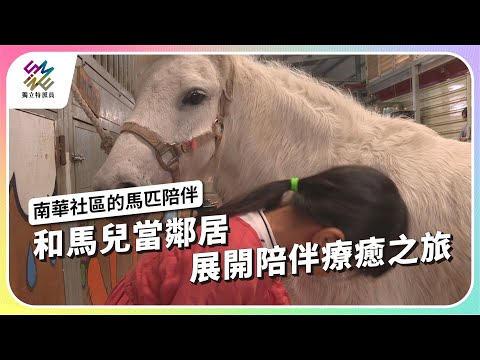 和馬兒當鄰居，展開陪伴療癒之旅｜南華社區的馬匹陪伴｜公視 #獨立特派員 第841集 20240228