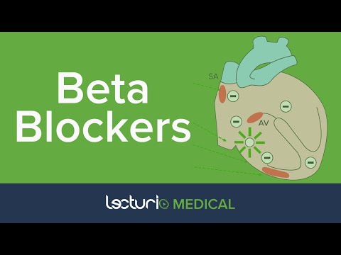 Beta Blockers | Cardiovascular Pharmacology