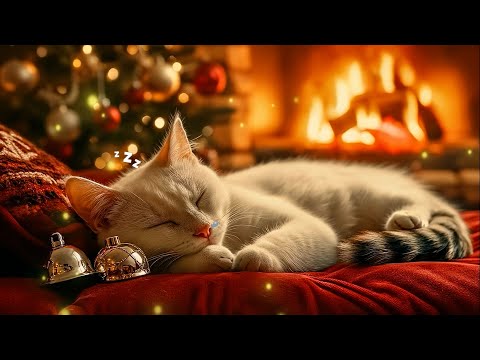 12 Hours of Festive Cat Music 🎅 Soft Gentle Piano for Happy Holidays & Deep Cat Sleep 💤