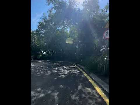 2025-12-17 (4k) 鹽田-北山路-橫鹽路-三鹽路-雲海廣場 (一)