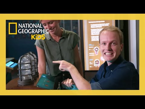 It's Electric! | Weird But True Full Episode | ‪@Nat Geo Kids