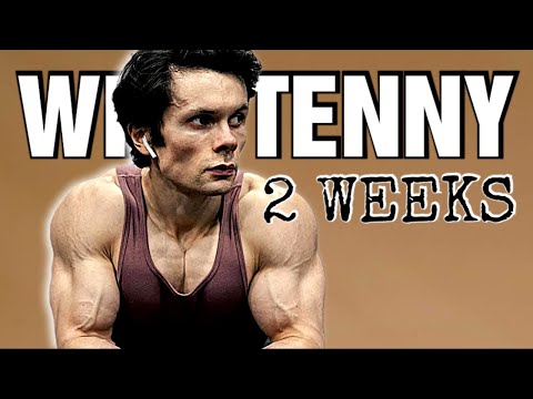 Will Tennyson || The Student Becomes The Teacher