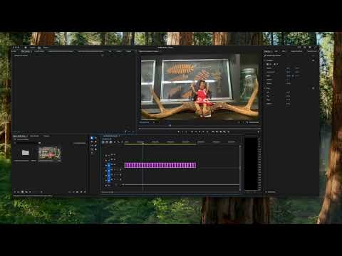 Art 300 Project 2 Basic Editing in Premiere Pro