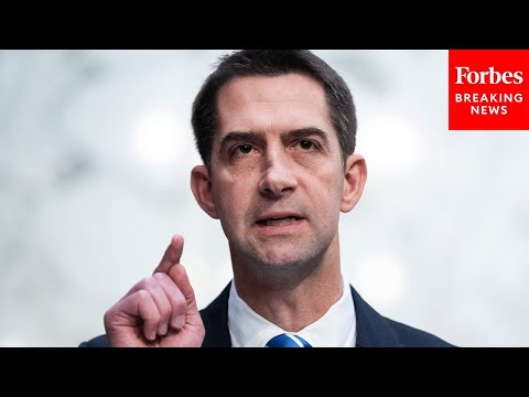 Tom Cotton Questions NSA Director Nominee About Combating Cyber Threats