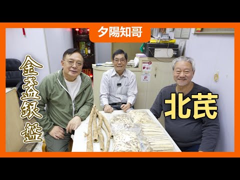 中藥篇 12｜北芪｜金盞銀盤