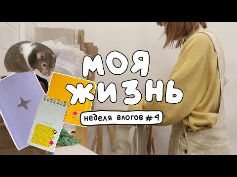 как я остаюсь продуктивной, работа и мой хомяк! неделя влогов, четверг