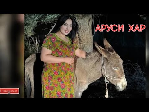 ДУХТАРАКИ  ШАХРИ БО ХАР ЧИКОР КАР ПРИКОЛИ ТОЧИКИ 2026 🤣😂😂