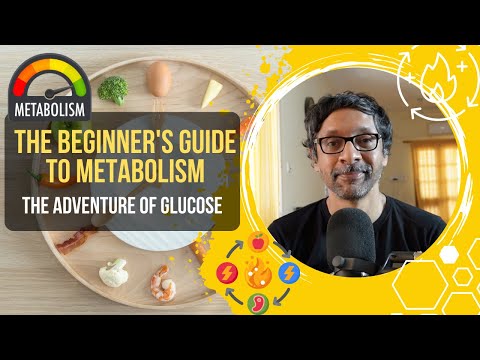 The Beginner's Guide to Metabolism