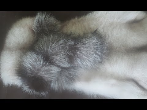 How I Bleach Light Fur
