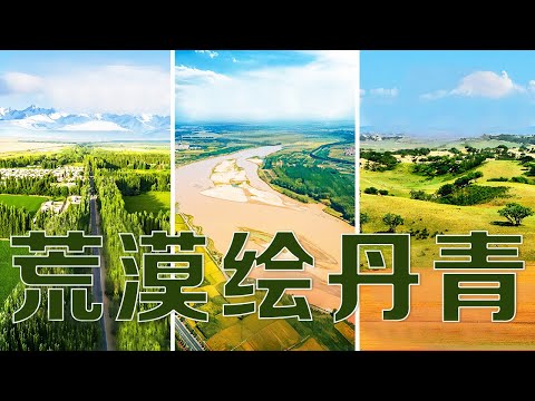 攻坚“几字弯”、“歼灭”风沙源、“阻击”大漠风沙......中国治沙人用坚守书写绿色奇迹 | LIVE NOW