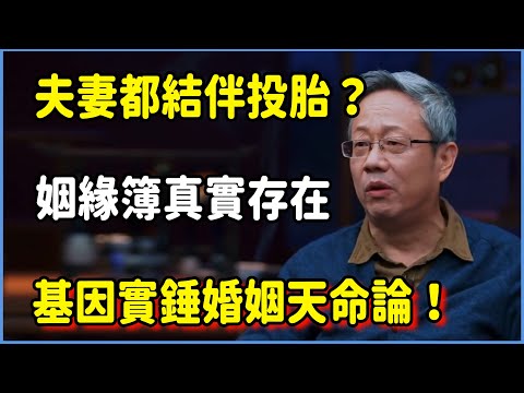 基因實錘婚姻天命論！夫妻都結伴投胎？姻緣簿真實存在！ #圆桌派 #窦文涛 #脱口秀 #真人秀 #圆桌派第八季 #马未都