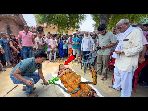 Cobra साँप काटने से एक और महिला की गई जान ! घर वालों ने साँप से ज़हर वापस खिचवाने का किया प्रयास ।