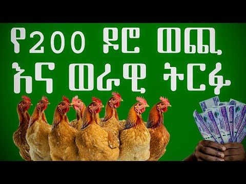 የ200 ዶሮ ወጪ እና ወራዊ ትርፍ