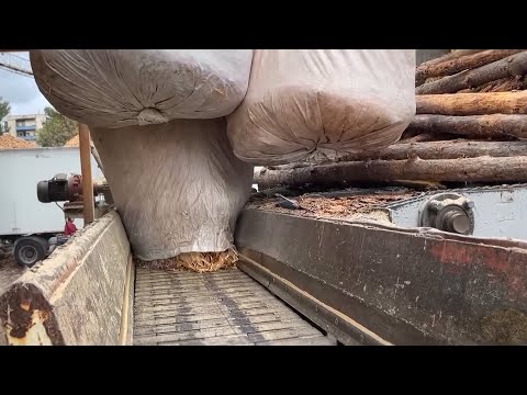Overfilled Bags? – Extreme Wood Chips Weight