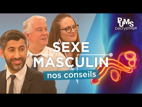 Organes sexuels / reproducteurs masculins : Voila comment cela fonctionne (+ conseils pratiques)