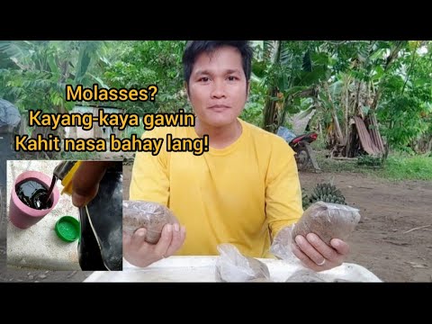 how to make molasses? very easy steps to make molasses in your home #molasses #tangaytoto #tutorial