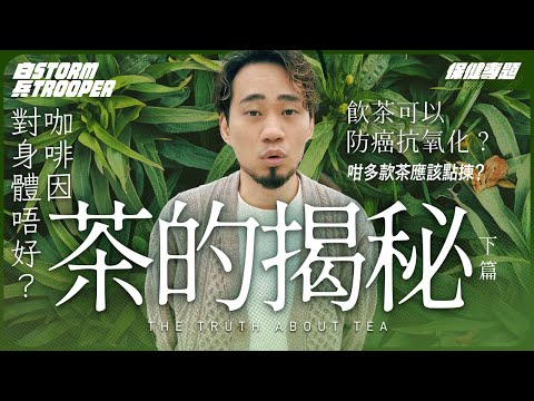 飲茶可以減肥＋抗癌＋抗氧化？｜樽裝茶冇晒營養？｜有咖啡因飲完會失眠？｜奶茶的前世今生｜不是陰謀論｜中文字幕