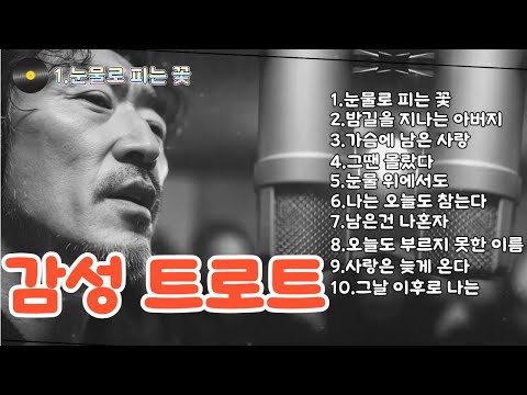 A Flower That Blooms with Tears I Late Regret 🎤Emotional Trot Ballad #Trot #EmotionalTrotCollecti...