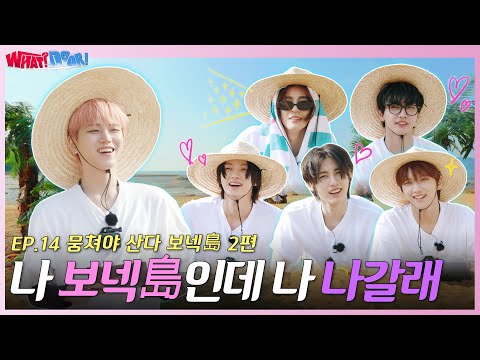 WHAT? DOOR! | 나 보넥島인데 나 나갈래.. 뭉쳐야 산다 보넥島 2편 | EP.14 - BOYNEXTDOOR (보이넥스트도어)