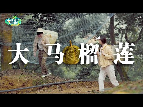 猫山王出口只是开始，榴莲产业即将迎来大爆发！？【Malaysia Boleh EP1】
