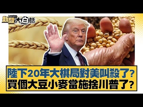 陸下20年大棋局對美叫殺了？ 買個大豆小麥當施捨川普了？【#新聞大白話】20251104｜#賴岳謙 #林郁方 #李大中