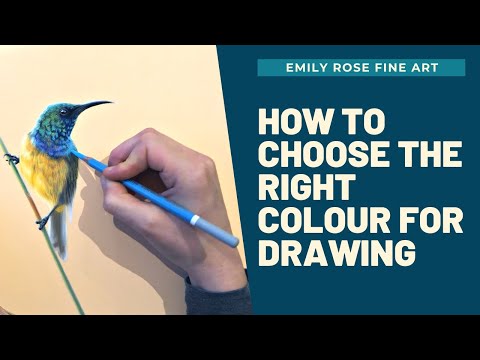 How to choose the right color for drawing
