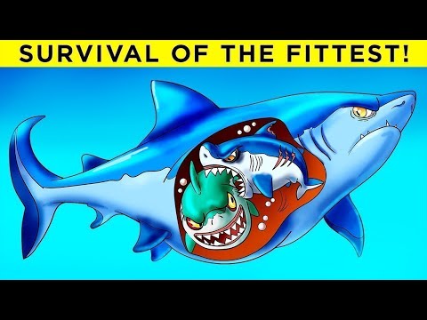 Worst Animal Parents