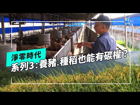 自願減碳賺碳權｜養豬、種稻也能加入碳市場？【好！我來告訴你】阿聰解釋性報導 EP3 X 專題 (公視我們的島 第1234集 2023-12-11)