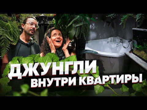 400 РАСТЕНИЙ в квартире 48 кв.м. | Обзор самой НЕОБЫЧНОЙ квартиры в России | Розыгрыш подушки