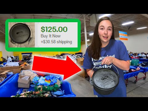 Goodwill Bins: Turning $50 into $500 in ONE DAY
