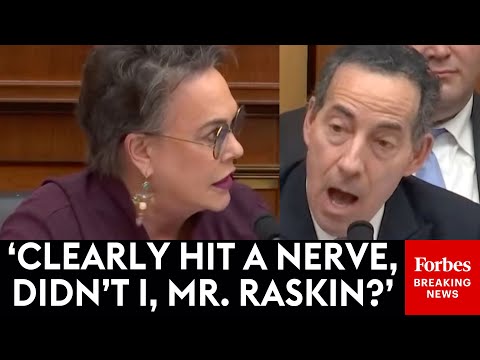 BREAKING NEWS: Hageman And Raskin Have Shocking Fiery Clash Over Jeffrey Epstein, Plaskett, & Trump